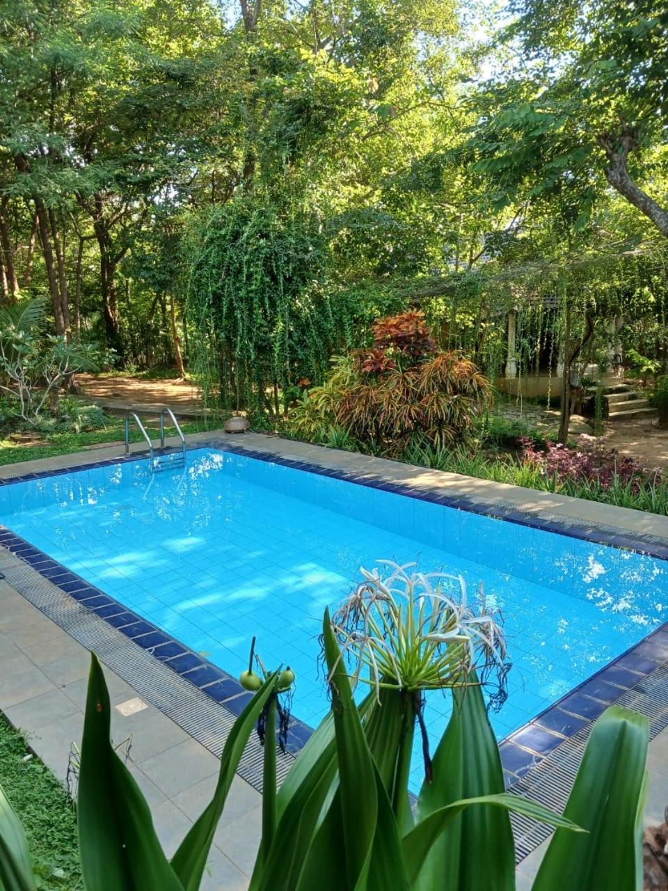 Villa Habarana Ngoại thất bức ảnh